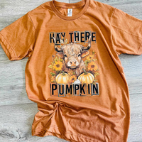 :: Hay There Pumpkin Tee ::